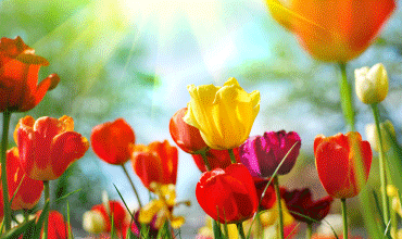 Creative ideas to improve your front doors during spring maintenance