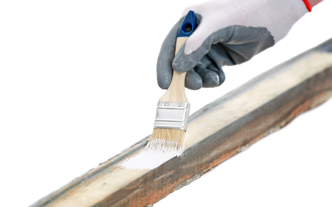 How To Make Paint Jobs Look Professional The Wooden Door Specialists